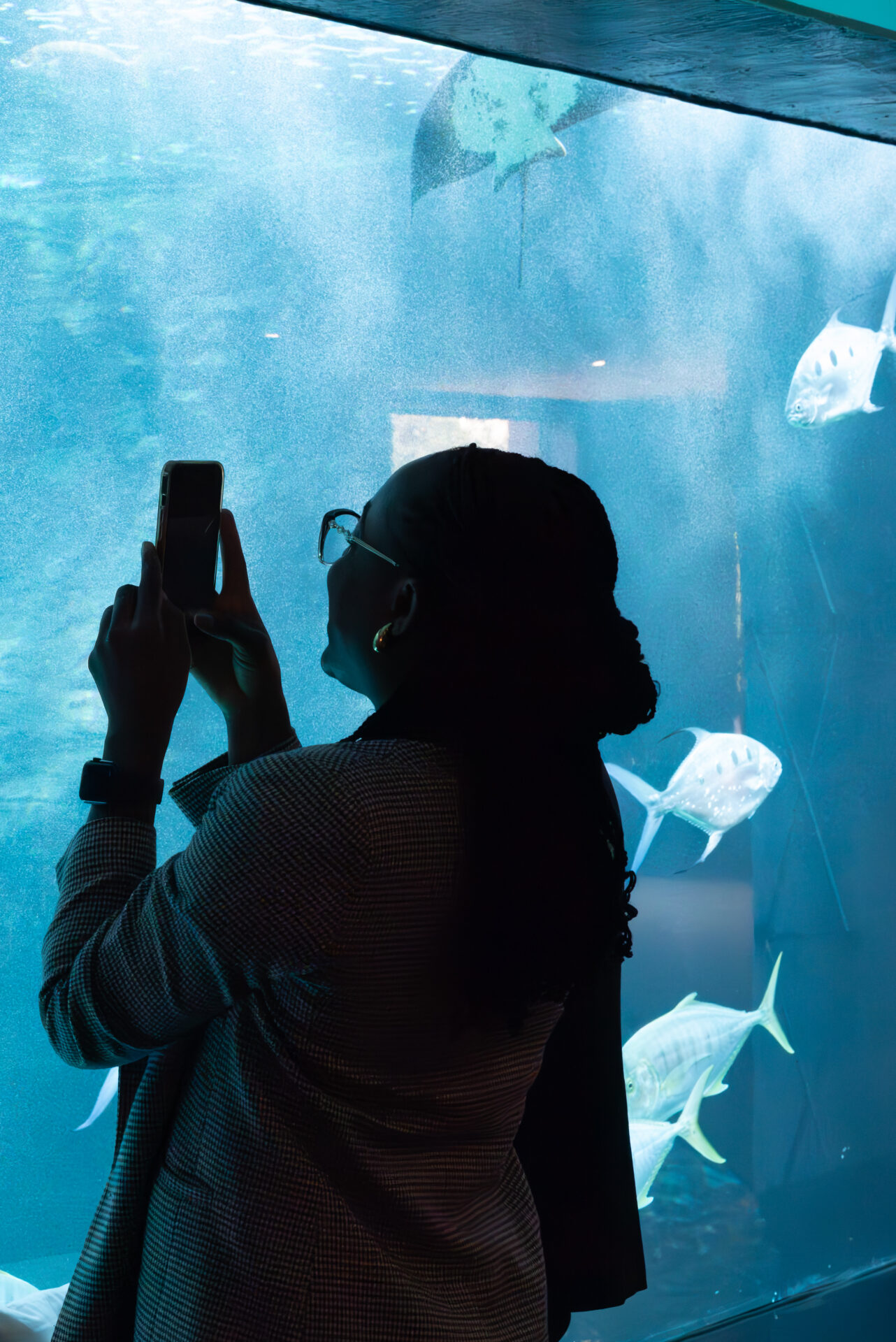 Two Oceans Aquarium, Cape Town